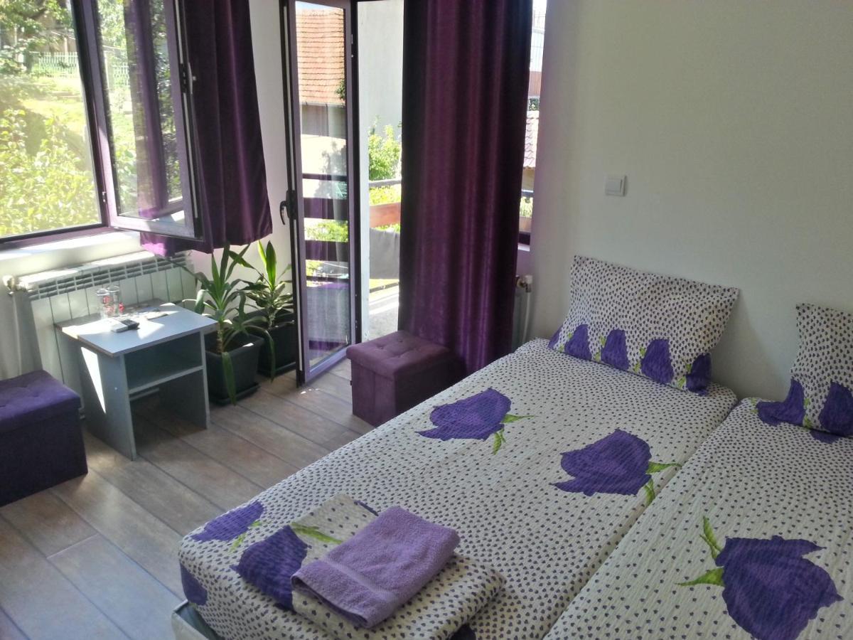 Guest House Bedrock Belogradçik Dış mekan fotoğraf